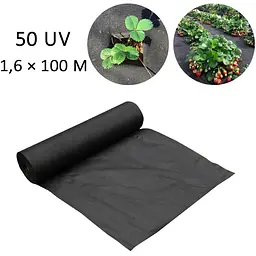 Агроволокно для полуниці Чорне 50 г/м2 (50 UV) 1,6 × 100 м, спанбонд для мульчування | агротканина (ST)