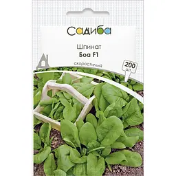 Шпинат Боа, 200 шт, Садиба