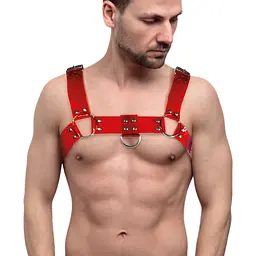 Чоловіча портупея на груди Feral Feelings Bulldog Harness Red Transparent - мініатюра 1