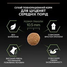 Сухий корм для цуценят та молодих собак середніх порід Purina Pro Plan Puppy Medium, з куркою, 12 кг (12375807) - мініатюра 9