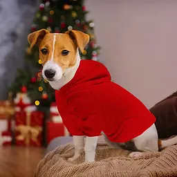 Худі для собак та котів EcoToys Red XL червоне A: 37 см B: 43 см C: 29 см X-7061 - мініатюра 3
