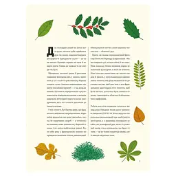 Книга Бруд. Смердюча історія гігієни - Моніка Утник-Стругала Видавництво Старого Лева (9789664481509) - мініатюра 4
