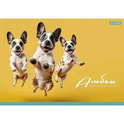 Альбом для малювання Star PB-GB-020-465 20 аркушів Жовтий