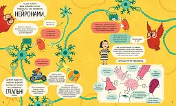 Книжка про мозок і те, як він працює - мініатюра 6
