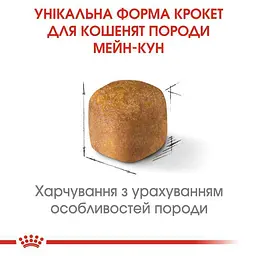 Сухий корм для кошенят до 15 місяців породи мейн-кун Royal Canin Maine Coon Kitten з куркою 0.4 кг - мініатюра 4