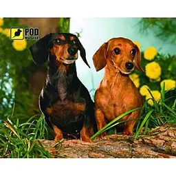 Килимок для миші Podmyshku Такси 24 x 19 см