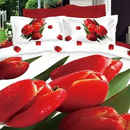 Комплект постільної білизни Love You 3D Березень STP347, євростандарт, різнокольоровий (0199)