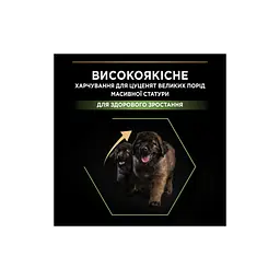 Сухий корм для собак Purina Pro Plan Dog Large Puppy Robust з куркою і рисом 12 кг (7613035120341) - мініатюра 5