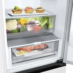 Холодильник LG GW-B509FVFW - мініатюра 17