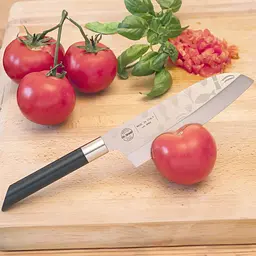 Ніж сантоку Risoli Dr. Green Santoku 16 см (02040DR/16SA) - мініатюра 5