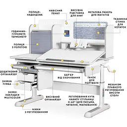 Дитячий стіл Mealux Winnipeg Multicolor Plus WG Grey (арт. BD-630 WG з тумбою) - мініатюра 3