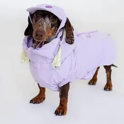 Вітровка для такс Hat-Dog лілова (XS/Дівчинка)