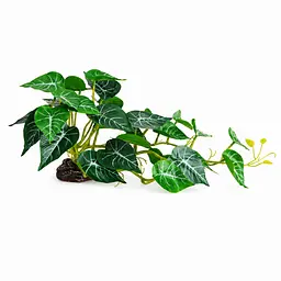 Штучна рослина Hobby Alocasia 2 40 x 20 см (37718) для тераріуму, акватераріуму та палюдаріуму