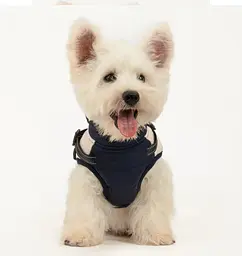 Зимова куртка для собак V.PET.B.R. Luxury Dog Jacket C519 Black&Cream - мініатюра 5