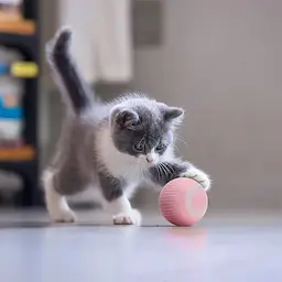 Інтерактивна іграшка для котів і маленьких собак UFT Розумний м'яч CatToy 1 Pink - мініатюра 4