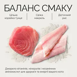 Вологий корм для дорослих котів Savory Tuna Fillets rich in Mackerel in Jelly for Adult Cats філе тунця з макреллю в желе, 70 г - мініатюра 4