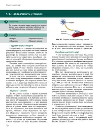 Біологія і екологія. Підручник. Профільний рівень. 11 клас - мініатюра 9