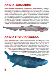 Велика книжка. Акули - Олег Зав'язкин - мініатюра 4