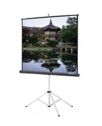 Екран Elite Screens T85NWS1 мобільний з триножкою 85" - мініатюра 1