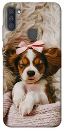 TPU чохол Demsky Sleepy spaniel для Samsung Galaxy A11