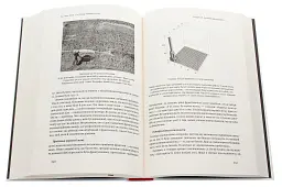 Чорний лебідь. Про (не)ймовірне у реальному житті - Насім Ніколас Талеб - мініатюра 5
