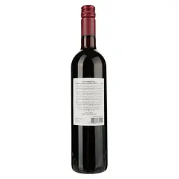 Вино Cesari Cabernet Trevenezie IGT Essere червоне сухе 0.75 л - мініатюра 2