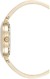Годинник Anne Klein AK/5110INST