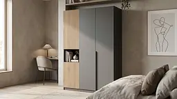Велика шафа з трубою для одягу та з полицями - мініатюра 3