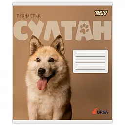 Набір зошитів Yes Ursa 18 аркушів у клітинку 25 шт. (768954) - мініатюра 2