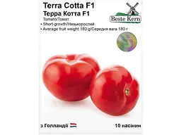 Томат Beste Kern (5 пачок в упаковці) Терра Котта F1 (10 насінин)