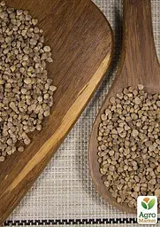 Насіння Agro-Market Шпинат Застольний на вагу ціна за 7 г (13356) - мініатюра 3