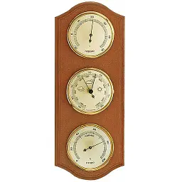 Метеостанція Moller 203379 Alder (203379)