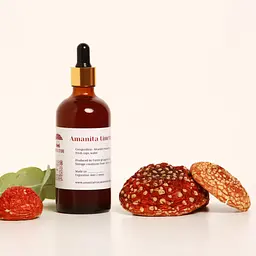 Настій Amanita store з мухомора червоного 100 мл