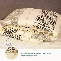 Ковдра ТЕП Шик Illusion Style вовна 400г/м 200x210 см (1-02564_31451) - мініатюра 2