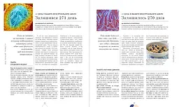 Вагітність день за днем - Меґґі Блотт (518979) - мініатюра 3