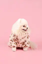 Куртка для собак Louis Vuitton L - мініатюра 2
