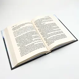 Лихий король — Голлі Блек - мініатюра 3