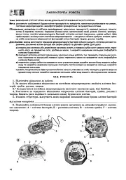 Біологія 9 клас. Зошит для лабораторних та практичних робіт - мініатюра 2