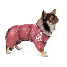 Комбінезон Pet Fashion Cherry ХS2 для дівчаток для собак - мініатюра 3