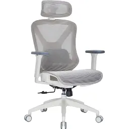 Офісне крісло OfficePro Atlas OC630-W-LG-LG (OC630-W-LG-LG) - мініатюра 2