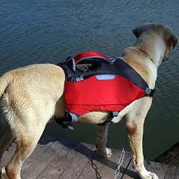 Рятувальний жилет для собак Voyager Pet Dog Bagpack - мініатюра 5