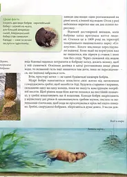 Енциклопедія для допитливих А5 : Тварини - винахідники і будівельники (Українська, 01 КРЕЙДОВАНИЙ ) - мініатюра 9