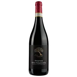 Вино La Sogara Amarone della Valpolicella Docg, 15%, 0,75 л (ALR16001) - мініатюра 2