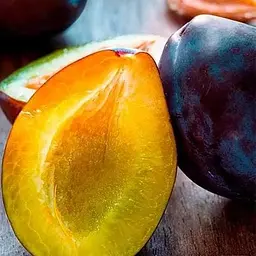 Саджанець Agro-Market Слива Блек Б'юті (пізній термін дозрівання) (20943) 1 шт. в упаковці - мініатюра 2