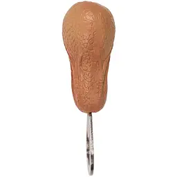 Відкривачка для пляшок Orion Sexy Bottle Opener Testicle тілесна - мініатюра 3