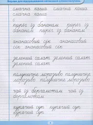 Тренажер для списування речень і текстів. Широка лінійка - Анастасія Фісіна - мініатюра 7