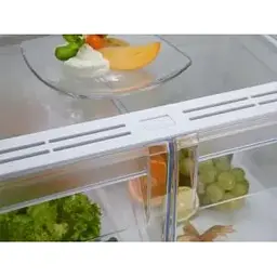 Холодильник Electrolux RNT6NE18S з морозильною камерою - мініатюра 6