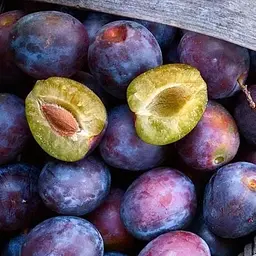 Саджанець Agro-Market Слива Анна Шпет (осінній сорт, пізній термін дозрівання) (35792) 1 шт. в упаковці - мініатюра 4