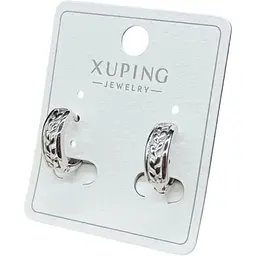 Сережки висячі Xuping З гілочкою з медичної сталі під срібло