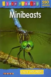 I Love Reading. 550 Words. Minibeasts